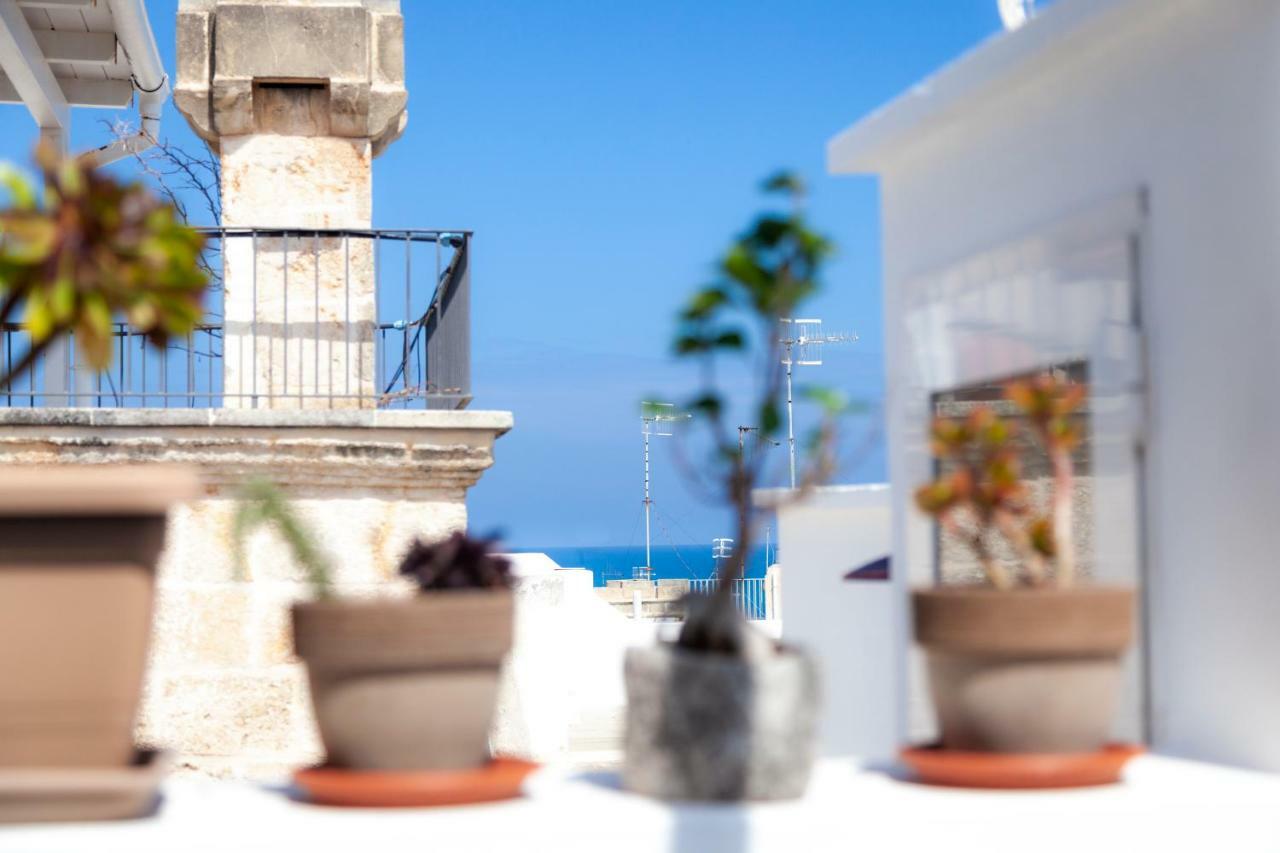 Torreparadiso Holidays *